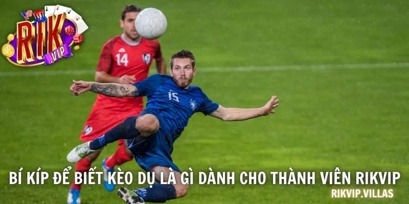 Bí kíp để biết kèo dụ là gì dành cho thành viên RIKVIP