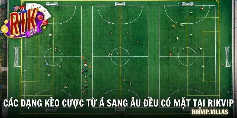 Cá Cược Thể Thao RIKVIP - Sản Phẩm Uy Tín, Ưu Đãi Hàng Đầu Các dạng kèo cược từ Á sang Âu đều có mặt tại RIKVIP