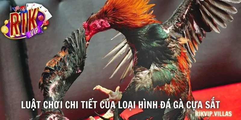 Luật chơi chi tiết của loại hình đá gà cựa sắt