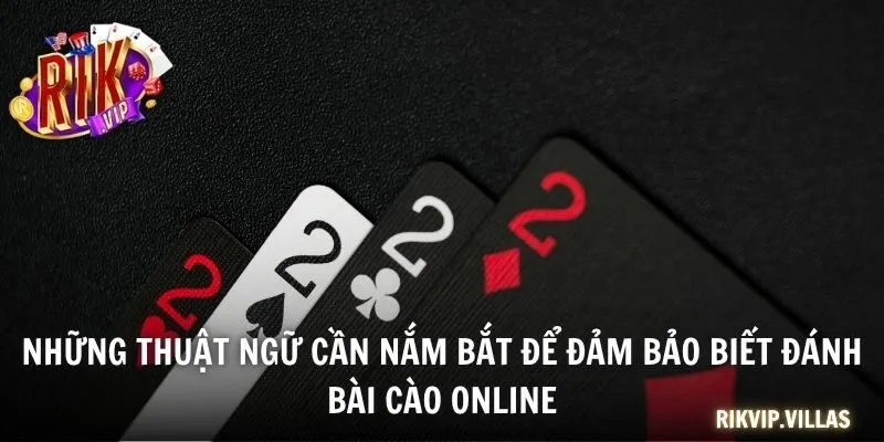 Bài Cào Trực Tuyến - Cách Chơi Cơ Bản Và Quy Trình Cược Những thuật ngữ cần nắm bắt để đảm bảo biết đánh Bài Cào online